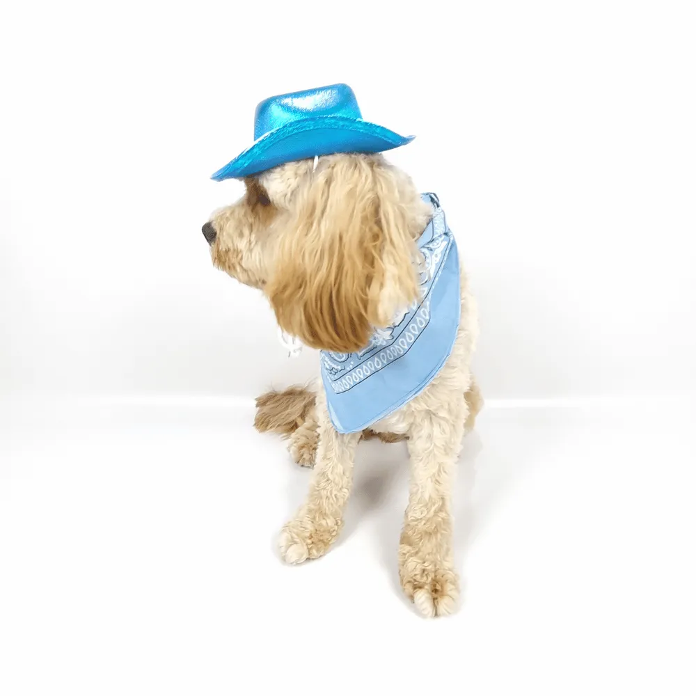 Cowboy Dog Hat and Bandana: Blue