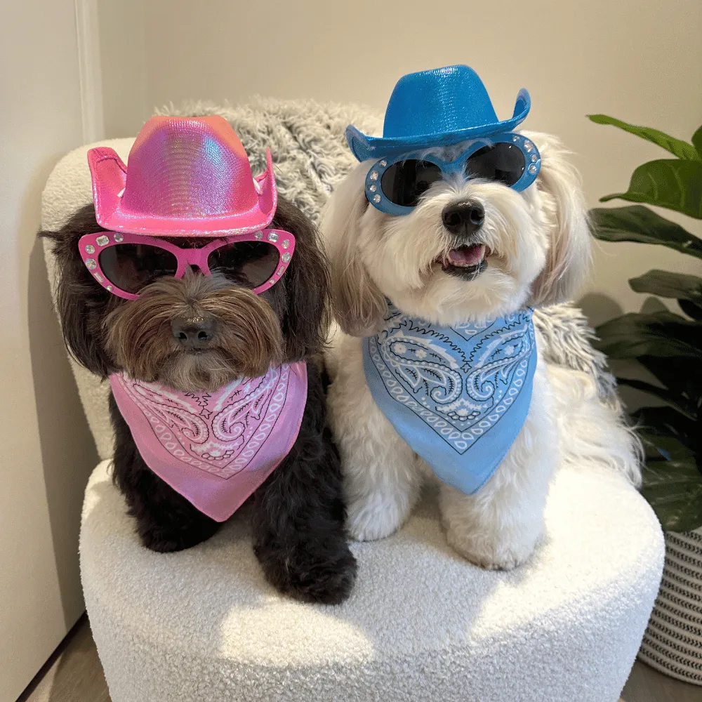 Cowboy Dog Hat and Bandana: Blue